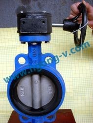 API/ANSI cast iron wafer butterfly valve