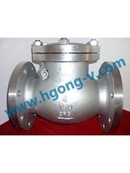 ANSI stainless steel flange swing check valve