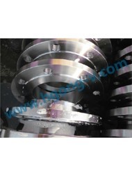 DIN stainless steel rise face flange