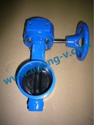 DIN cast iron butterfly valve